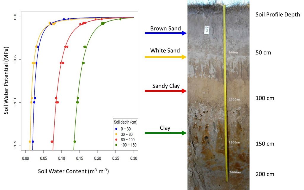 Soil Water Characteristic Curve