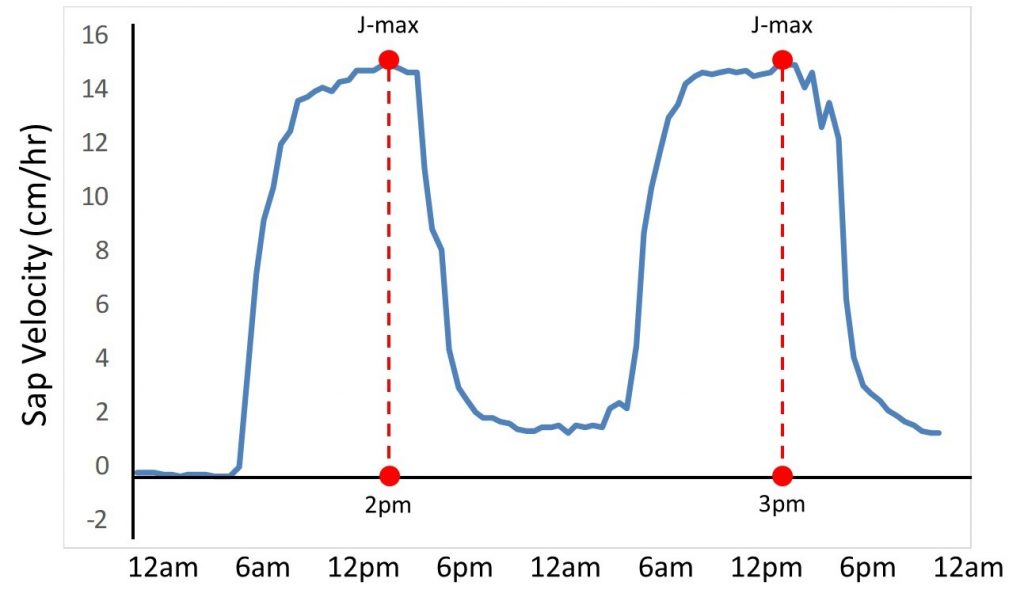 J-max Data Analysis