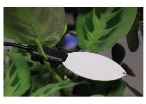 LWS Leaf Wetness Sensor
