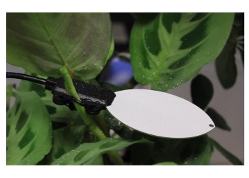 Leaf Wetness Sensor